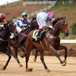 horse racing betting